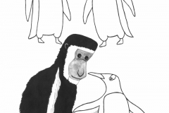 Corrie the mantled colobus monkey