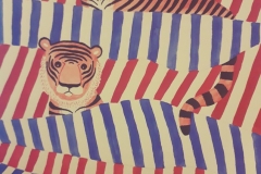 Tigers and Stripes