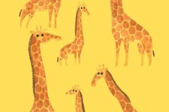 Giraffes