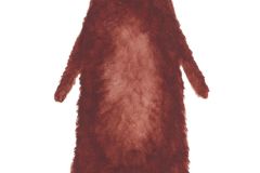 Mr. Bear