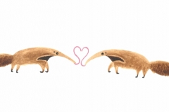 Anteaters in Love