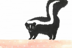 A Skunk