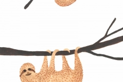 Sloths