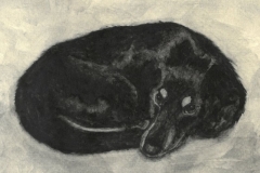 Dogs 