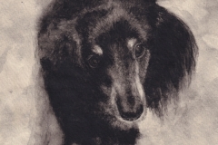 Dusty