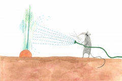 Carrot Watering