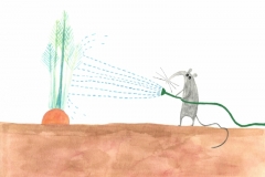 Carrot Watering