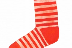 In a Striped Sock