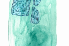 Shapes
