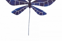 A Dragonfly