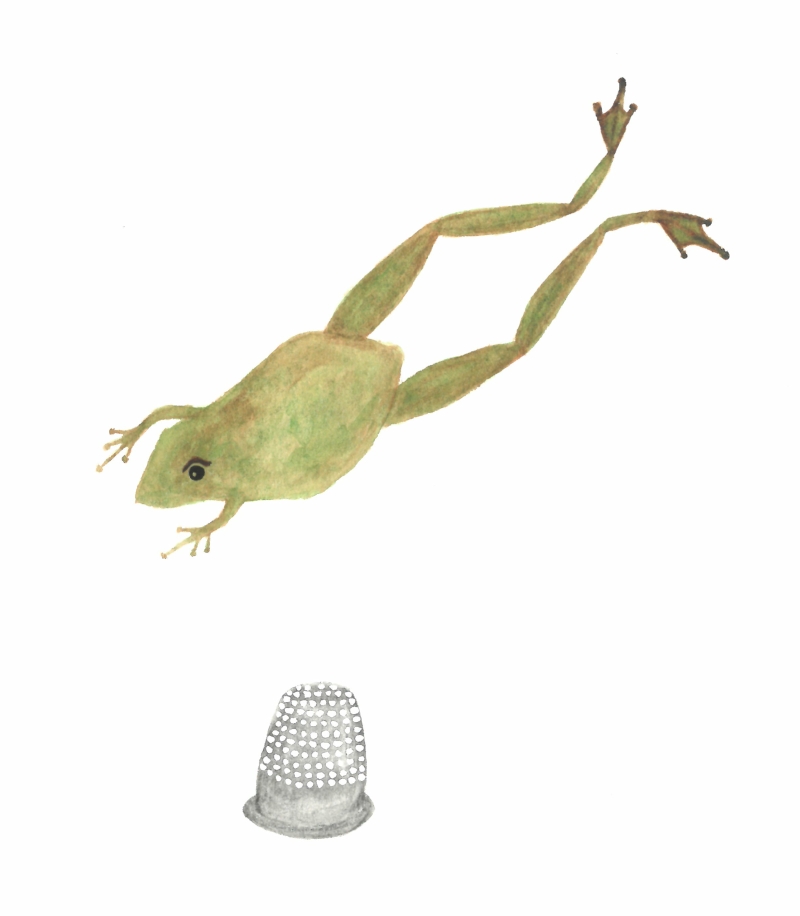 thimble, frog