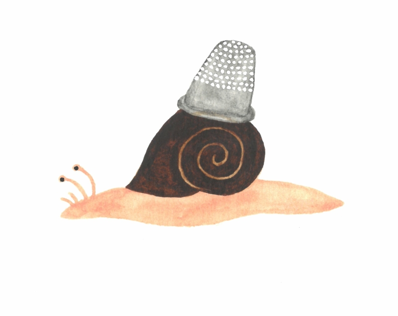 thimble, snail